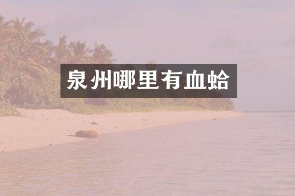 泉州哪里有血蛤