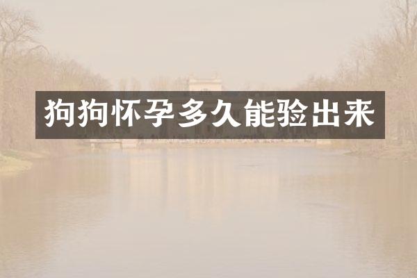 狗狗怀孕多久能验出来