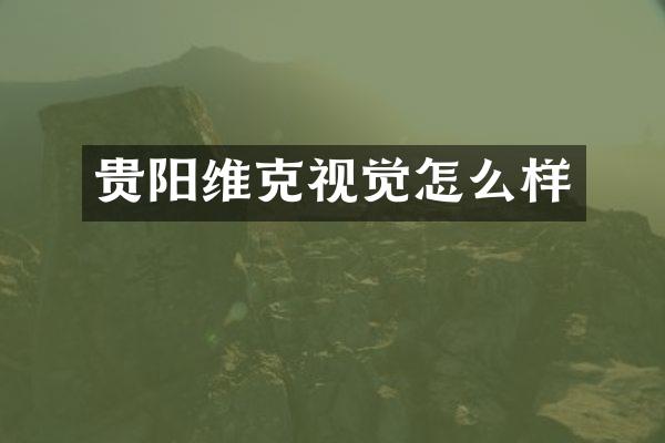 贵阳维克视觉怎么样