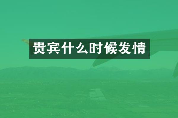 贵宾什么时候发情