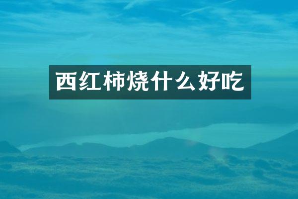 西红柿烧什么好吃