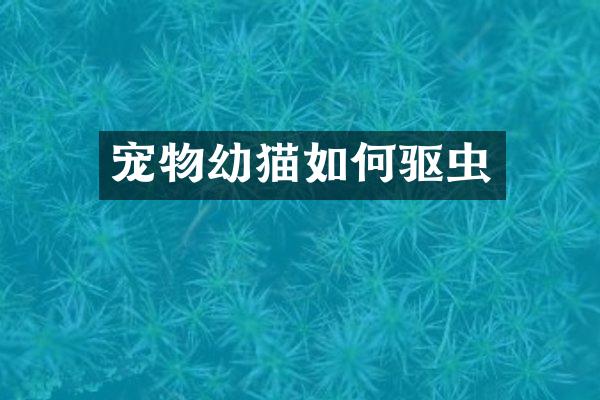 宠物幼猫如何驱虫