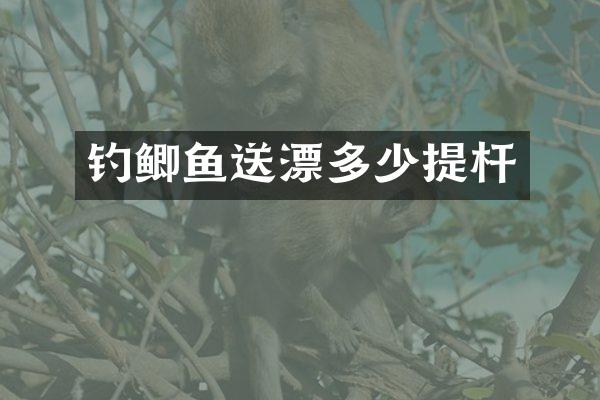 钓鲫鱼送漂多少提杆