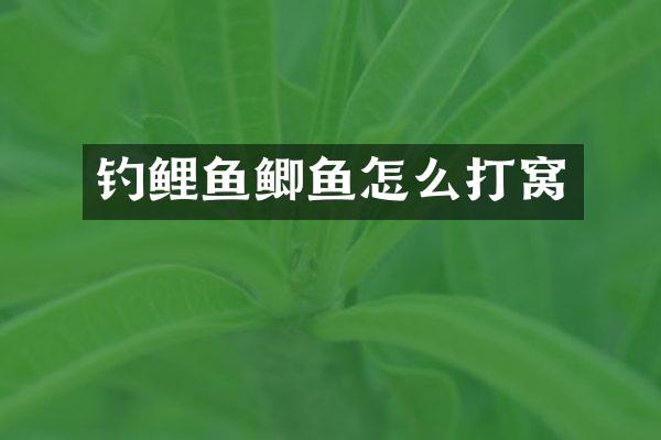 钓鲤鱼鲫鱼怎么打窝