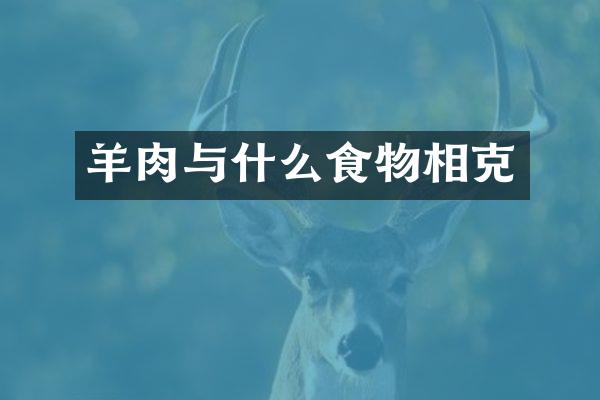 羊肉与什么食物相克