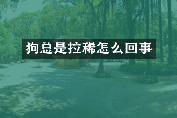 狗总是拉稀怎么回事