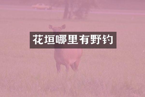 花垣哪里有野钓