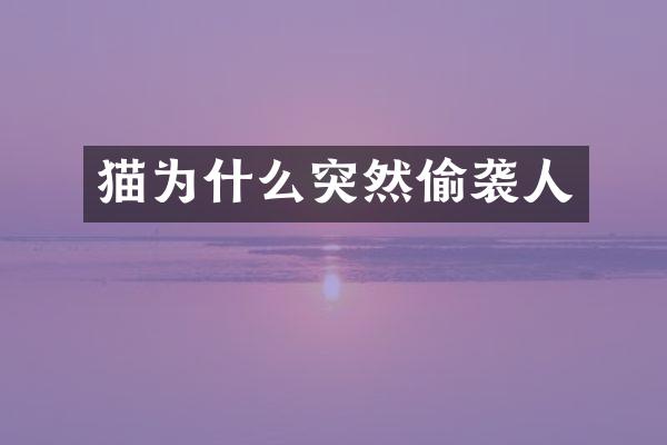 猫为什么突然偷袭人