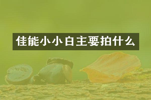 佳能小小白主要拍什么