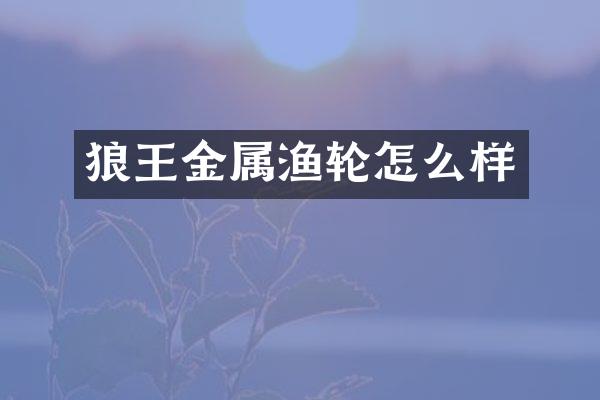 狼王金属渔轮怎么样