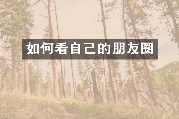 如何看自己的朋友圈
