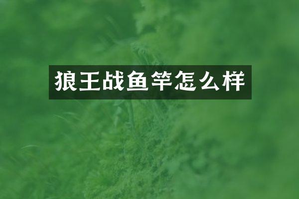 狼王战鱼竿怎么样