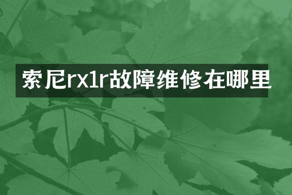 rx1r故障维修在哪里