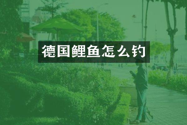 德国鲤鱼怎么钓