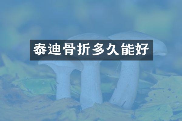 泰迪骨折多久能好