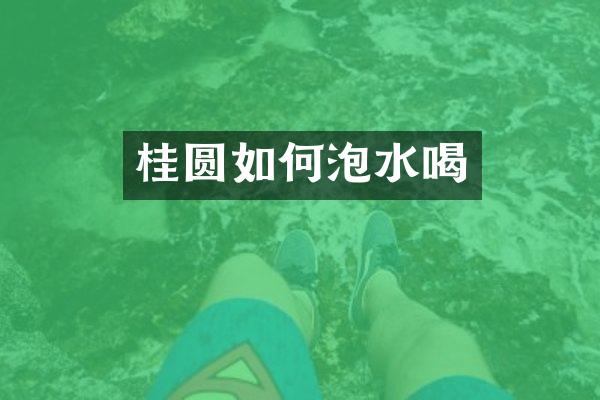 桂圆如何泡水喝