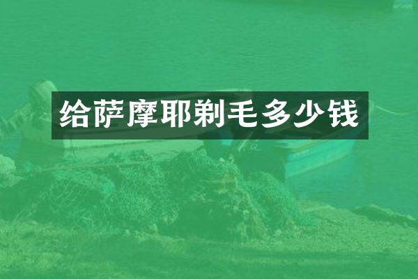 给萨摩耶剃毛多少钱