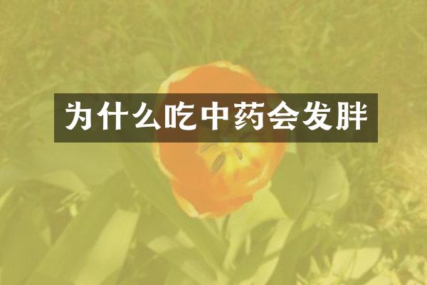 为什么吃中药会发胖
