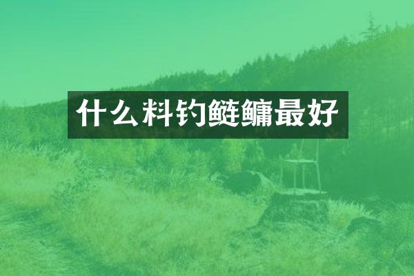 什么料钓鲢鳙最好