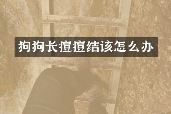 狗狗长痘痘结该怎么办