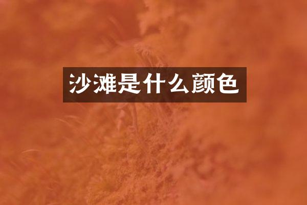 沙滩是什么颜色