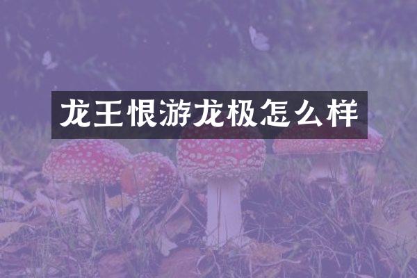 龙王恨游龙极怎么样