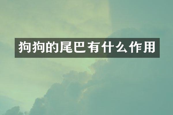狗狗的尾巴有什么作用