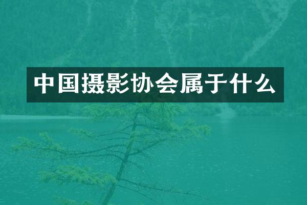中国摄影协会属于什么