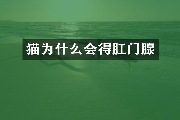 猫为什么会得腺