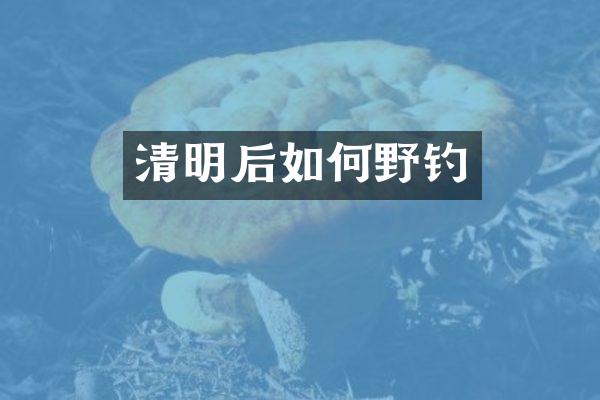 清明后如何野钓