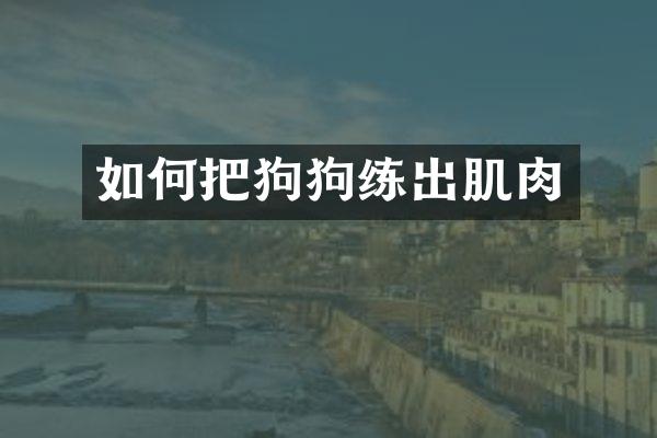 如何把狗狗练出肌肉