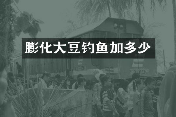 膨化大豆钓鱼加多少