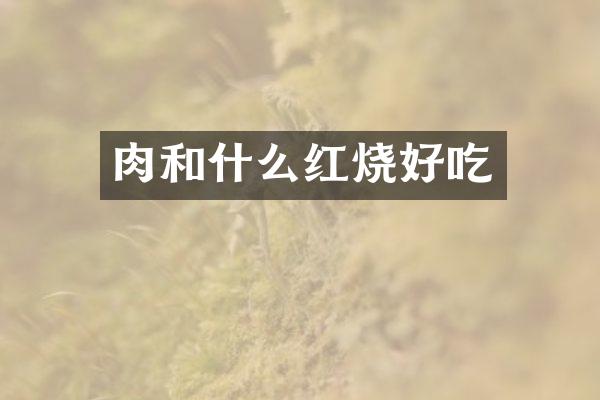 肉和什么红烧好吃