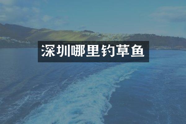 深圳哪里钓草鱼