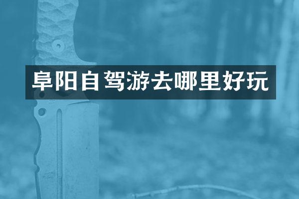 阜阳自驾游去哪里好玩