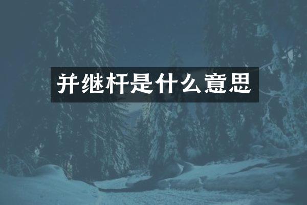 并继杆是什么意思