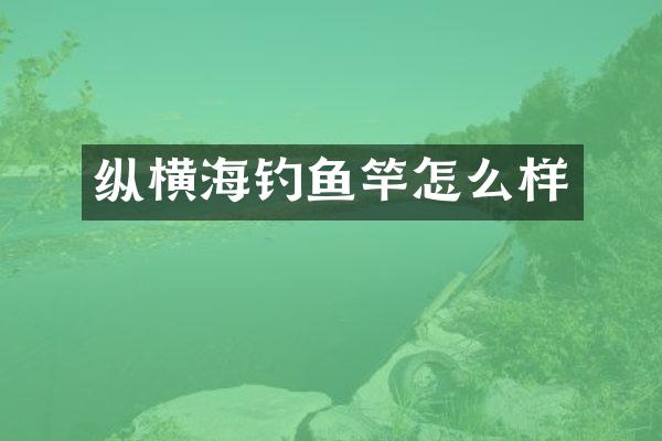 纵横海钓鱼竿怎么样