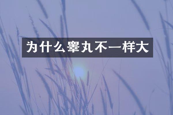 为什么睾丸不一样大