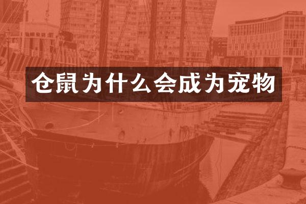 仓鼠为什么会成为宠物