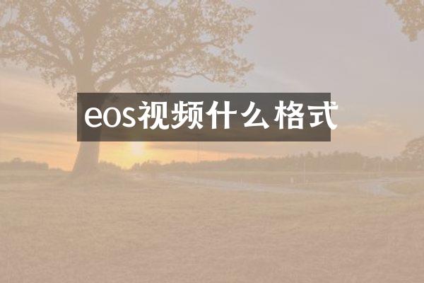 eos视频什么格式