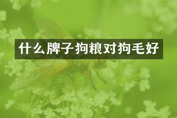 什么牌子对狗毛好