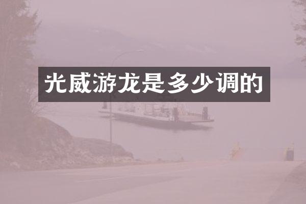 光威游龙是多少调的