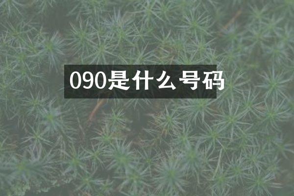 090是什么号码