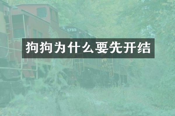 狗狗为什么要先开结