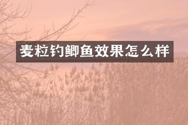 麦粒钓鲫鱼效果怎么样