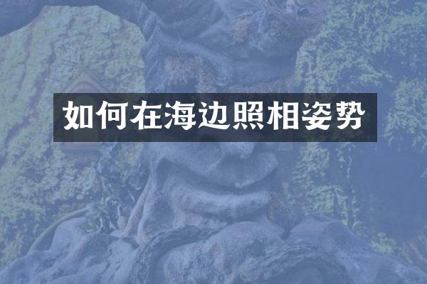 如何在海边照相姿势