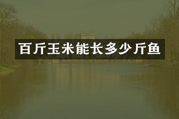 百斤玉米能长多少斤鱼