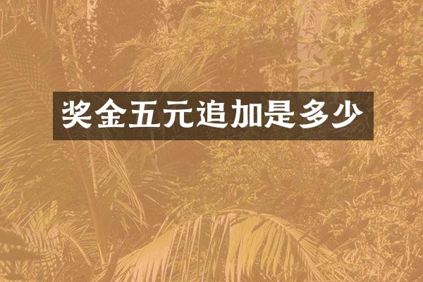 奖金五元追加是多少
