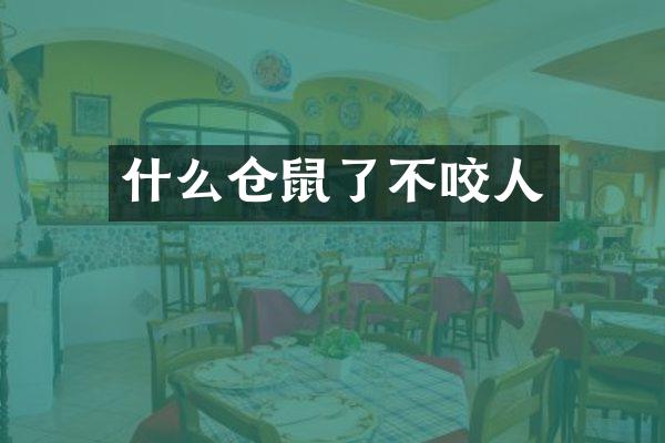 什么仓鼠了不咬人