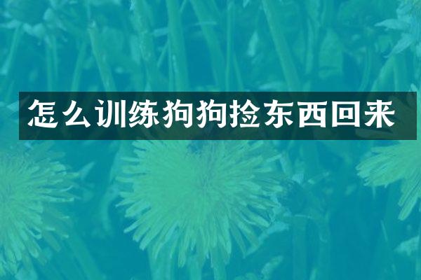 怎么训练狗狗捡东西回来